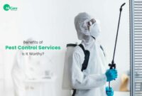 Exterior Home Pest Control Services A Complete Guide