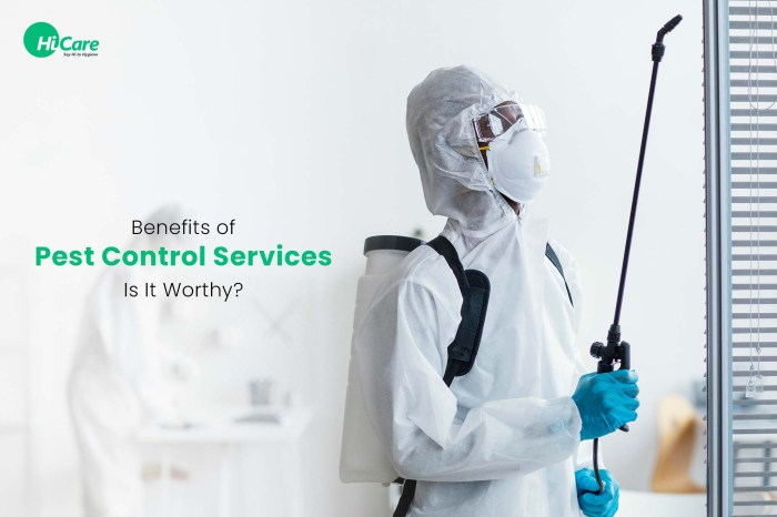 Exterior Home Pest Control Services A Complete Guide