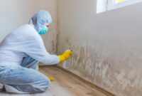 Exterior Home Mold Remediation A Complete Guide